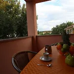 Rolih * Vantacici